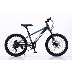 Naixin nhà máy nóng bán tùy chỉnh OEM bán buôn 20 inch MTB 7 tốc độ đôi ĐĨA PHANH nhôm khung xe đạp leo núi - Product Image 2