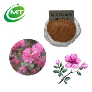China flower Rhododendron dauricum extract Natural Dahurian Rhodoendron Extract