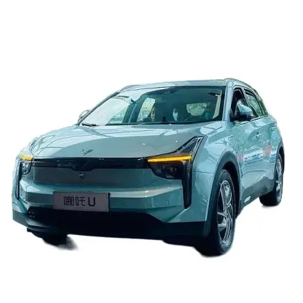 2022年新エネルギー自動車中国製ファッション高級車新EV車NETA U