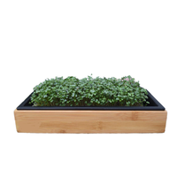 Hydroponique Intérieur Légumes Microgreen Jardin Starter Kit 36 Plateau En Acier Inoxydable Bambou Cadre Plancher Maison Culture