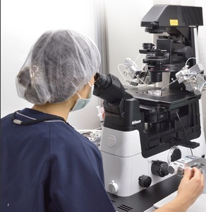 Microscópio-RC-ICSI FIV fertilização in vitro ou operação microscópica OLympus IX73 microscópica - Product Image 4