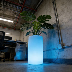 Maceta Moderna Impermeable con Luz LED, Maceta <span class=keywords><strong>Pequeña</strong></span> para Jardín, Hogar, Escritorio, Duradera, Recubierta y Plateada, para Colgar en <span class=keywords><strong>Casa</strong></span> - Product Image 1