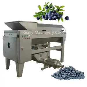 Verse Druiven Bosbessen Stem Separator Druif Stem Verwijderen Machine Kersen Destemmer Machine