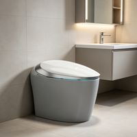 Bidet intelligent pour toilettes domestiques, double canalisation, option sans pression d'eau, lumière nocturne ambiante, buse autonettoyante