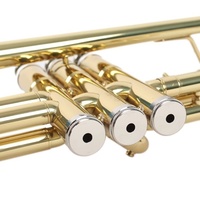 Small Size Instrument Bb Key Professional XSTR-271 Brass Tube Gold Lacquer Finish Beginner's Performance School