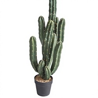 Cactus artificiel en pot pour simulation d'espace naturel, décoration paysagère, ornement végétal, Modèle Chine 11255