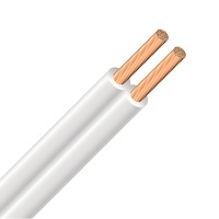 Cable Plano Aislado SPT en Oferta para Ecuador y México, SPT1 SPT2 2*10AWG, Cobre Trenzado Paralelo 105C, Cable de Extensión Doméstico
