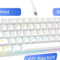 Clavier de jeu mécanique filaire 60% 61 touches rétroéclairé par LED, clavier compact USB Type C pour PC portable