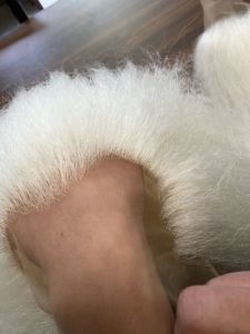 Extensiones <span class=keywords><strong>de</strong></span> Cabello <span class=keywords><strong>de</strong></span> Pelo <span class=keywords><strong>de</strong></span> Yak para Navidad 2026, Estilo Santa Claus - Product Image 2