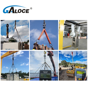 가방이 있는 GWD200 듀얼 디지털 무선 동력계 크레인 스케일 RS232 출력 (옵션) 150T 200T - Product Image 4