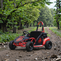 79.50cc Mini Cruz Kart Beach Buggy Racing Go kart (GK005)