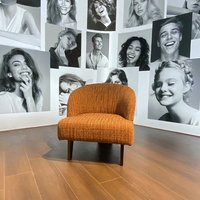 Ensemble de chaises longues modernes et durables pour la maison, le bureau, le salon, l'appartement, l'hôtel et la villa