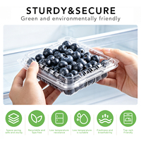 Conteneur en PET ventilé pour baies, boîte d'emballage pour fruits à couvercle articulé, côtelée, pour myrtilles, framboises, fraises, qualité alimentaire, vente en gros