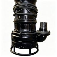 Pompe à boue submersible en fer résistant à la corrosion pour le traitement des eaux usées, utilisation sous-marine haute performance