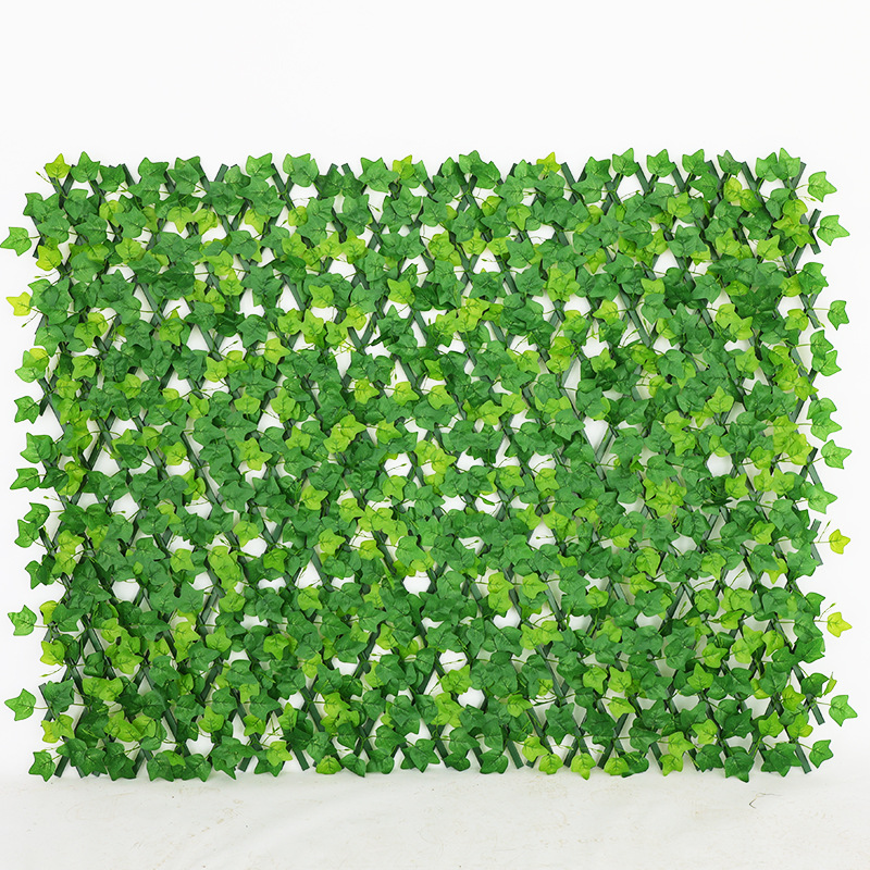 ใบไม้เลื้อยเวอร์จิเนีย