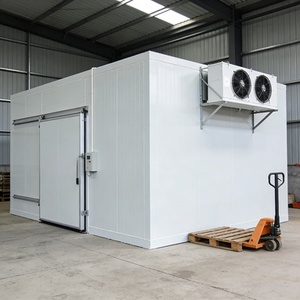 Chambre froide à température négative, congélateur walk-in, chambre de stockage frigorifique - Prix - Product Image 6