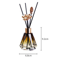 Soleil Vente Chaude Ambre 60ml Personnalisé Imprimé Vide Air Frais Unique Reed Diffuseur Bouteille pour La Maison Chambre Parfum Parfum Décoration