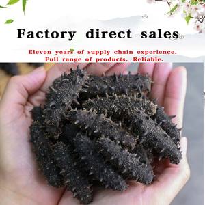 Высококачественный сушеный замороженный лысый морской огурец свежий стиль лучшие рыночные цены натуральный оптовик упаковка - Product Image 6