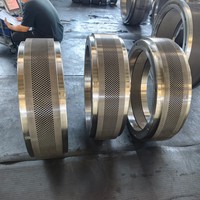 Vente directe d'usine Salmatec 700.100 Pièces de rechange Anneau matriciel pour machine à fabriquer des granulés de bois