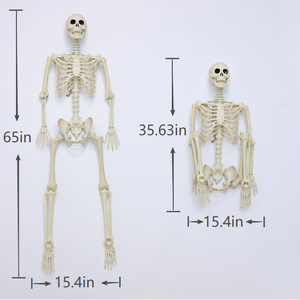 Esqueleto de Halloween Personalizado de 165 cm con Articulaciones Móviles, Huesos Humanos de Plástico para Decoración de Casas Encantadas y Exteriores - Product Image 1
