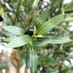 Arbre d'olivier artificiel en gros, <span class=keywords><strong>plante</strong></span> artificielle de haute qualité, résistante aux UV, pour projets extérieurs, maison et jardin - Product Image 3