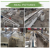 Intelligente Dragon Fruit Sorteermachine Mango Avocado Fruit Weging Sorteermachine