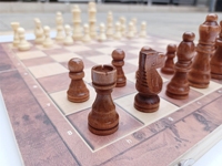 Jeu d'échecs en bois pliable de haute qualité, comprenant le backgammon, le tic-tac-toe et les pions de dames en bois