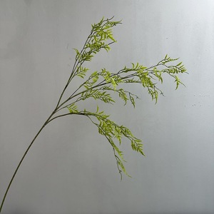 LO-1102 <span class=keywords><strong>Plantes</strong></span> artificielles en caoutchouc souple, feuilles de pampa persan, fougère et sélaginelle, pour la décoration intérieure et les arrangements floraux en salle d'exposition - Product Image 6