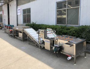 Línea automática de pelado, lavado y secado al aire de granadas - Product Image 6