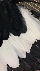 Vestido <span class=keywords><strong>de</strong></span> cóctel <span class=keywords><strong>de</strong></span> fiesta <span class=keywords><strong>de</strong></span> noche <span class=keywords><strong>de</strong></span> celebridad <span class=keywords><strong>de</strong></span> moda <span class=keywords><strong>de</strong></span> mujer <span class=keywords><strong>de</strong></span> plumas <span class=keywords><strong>de</strong></span> <span class=keywords><strong>alta</strong></span> calidad - Product Image 5