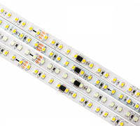 Bande lumineuse LED RGBIC WS2811 2835 120 LED/m 12V 24V IP65 Étanche Adressable Individuellement Effet de poursuite Flexible CE RoHS