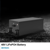Batterie LiFePO4 48V 55Ah pour tricycle électrique, haute capacité, vente en gros rapide, OEM ODM personnalisé