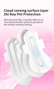 Mini Soft Disposable Female Pocket Ultra Thin <strong>Pads</strong> High Quality Sanitary <strong>Pads</strong> 330mm X9 - Product Image 3