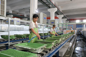 <span class=keywords><strong>ท็</strong></span><span class=keywords><strong>อป</strong></span><span class=keywords><strong>เปอร์</strong></span>ยางพาราธรรมชาติ 100% คุณภาพสูง <span class=keywords><strong>ราคา</strong></span>ดี จัดส่งแบบดรอปชิปปิ้ง - Product Image 6