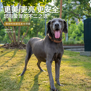 Collier lumineux pour grands chiens, motif jacquard, design tendance, utilisation toutes saisons - Product Image 1