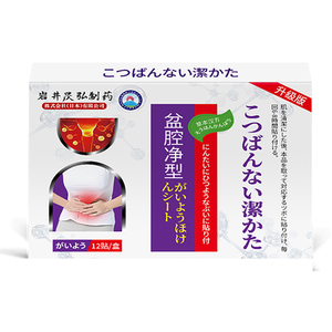 Japon pelvik sıcak Compress s paketi çin alçı pelvik effüzyon macun etkili merhem endometrit alt karın - Product Image 1