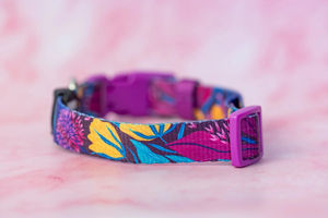 Collier pour chien à prix avantageux, gamme de prix abordable, fabricant en gros, collier pour chien durable et élégant, accessoire pour animaux de compagnie réglable - Product Image 5