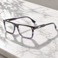 Personnalisation Nouveau design Lunettes optiques en acétate pour hommes Style professionnel Anti-lumière bleue Montures de lunettes pour un usage quotidien OEM/ODM