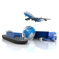 USA/UE/Canada/Mexique/Australie DDP |   FBA et 3PL entrants. LCL + Transport routier + Courrier. Service porte-à-porte. Douanes et droits de douane inclus.