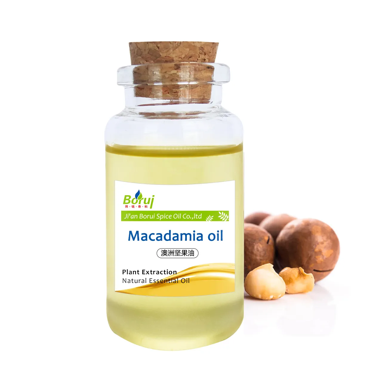 Makadamienöl Werkspreis Großhandel Massage-Träger Spa konzentriertes Basisöl Nussöl Massenware für Hautpflege Körper