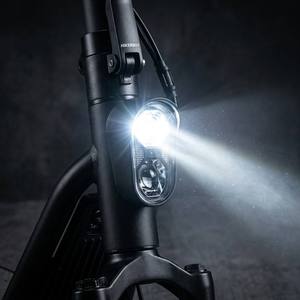 Scooter Eléctrico Hikerboy Evos 350W Impermeable IP54 para Lugares Turísticos, Optimizado para el Campus y Fábrica EVOS, Listo para un Transporte Rápido y Eficiente - Product Image 4