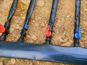 نظام ري الحدائق ، 40 <span class=keywords><strong>m</strong></span> + 10 <span class=keywords><strong>m</strong></span> طقم ري بالتنقيط التلقائي مناسب لمروج الحدائق والحدائق والمزارع النباتية - Product Image 2