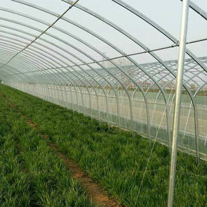 Vente agricole : Serre en polycarbonate pour jardin, culture de champignons à vendre - Product Image 1