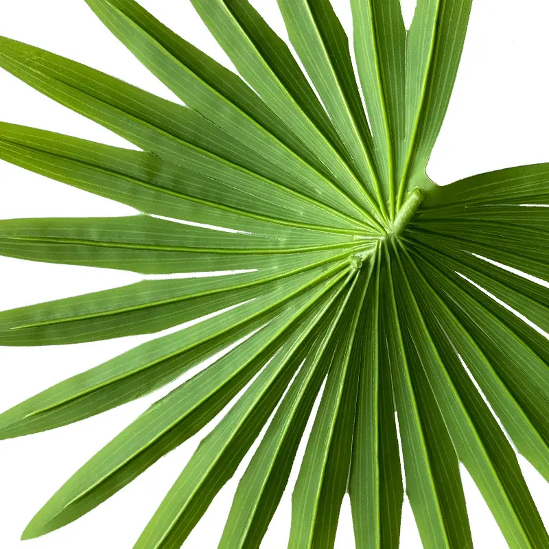 Folhas artificiais da palmeira, palmeira, plantas tropicais falsas imitando folhas de palmeira grande
