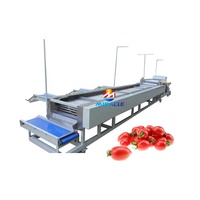 Goede dienst na verkoop MRC-FJ roller sizer cherry tomaat sorteren machine fruit grading machine