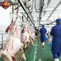 Équipement d'abattage certifié USDA pour moutons et chèvres, machines d'abattage de moutons et agneaux, ligne de traitement automatique, station d'abattage de viande