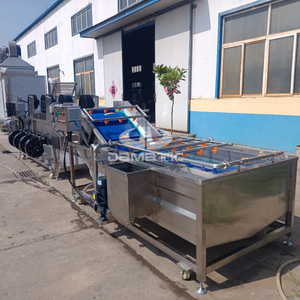 Ligne de production d'équipements de lavage, de séchage et de transformation des fruits et légumes, fraises, carottes, pommes de terre, gingembre - Product Image 6