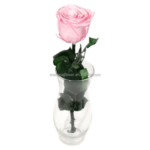 Rose conservate all'ingrosso e piante regalo di <span class=keywords><strong>San</strong></span> <span class=keywords><strong>Valentino</strong></span> con eterno <span class=keywords><strong>per</strong></span> sempre rosa con scatola di vetro a forma di cupola Bouquet di fiori <span class=keywords><strong>per</strong></span> <span class=keywords><strong>lei</strong></span> - Product Image 4