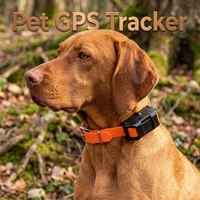 Collier de suivi GPS pour chiens et bétail, étanche, en plastique, suivi en temps réel avec une grosse batterie, suivi en temps réel, bon signal