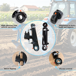 Cylindre <span class=keywords><strong>hydraulique</strong></span> à double effet rigide à commande <span class=keywords><strong>flexible</strong></span>, chromé, pour machines agricoles - Product Image 2